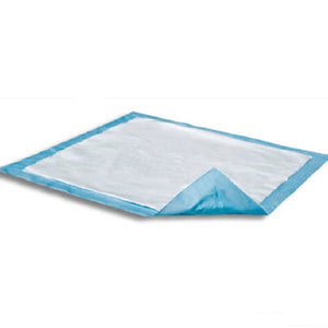 Dri-Sorb UFS-300 Underpad, light absorbency. Pack of 10